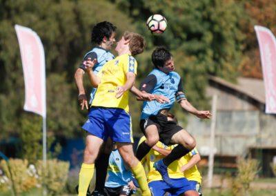 Narnajarán 1 vs Chépica 2